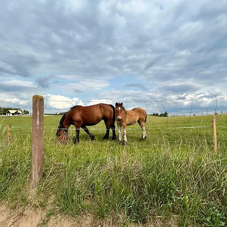 Nowa Stodola Koniec Swiata Mikołajki