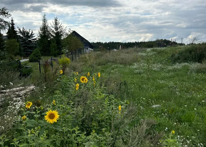 Nowa Stodola Koniec Swiata *